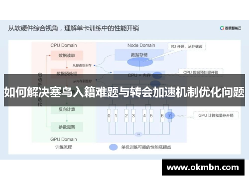 如何解决塞鸟入籍难题与转会加速机制优化问题
